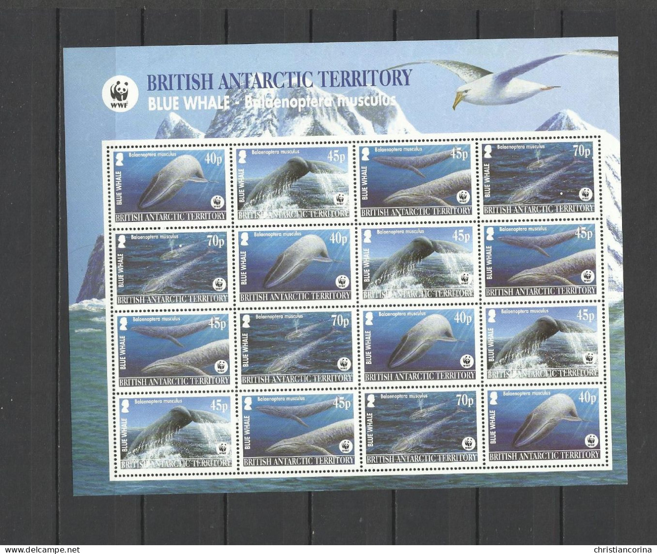 BRITISH ANTARCTIC TERRITORY BAT 2004 WWF WHALES - Nuovi