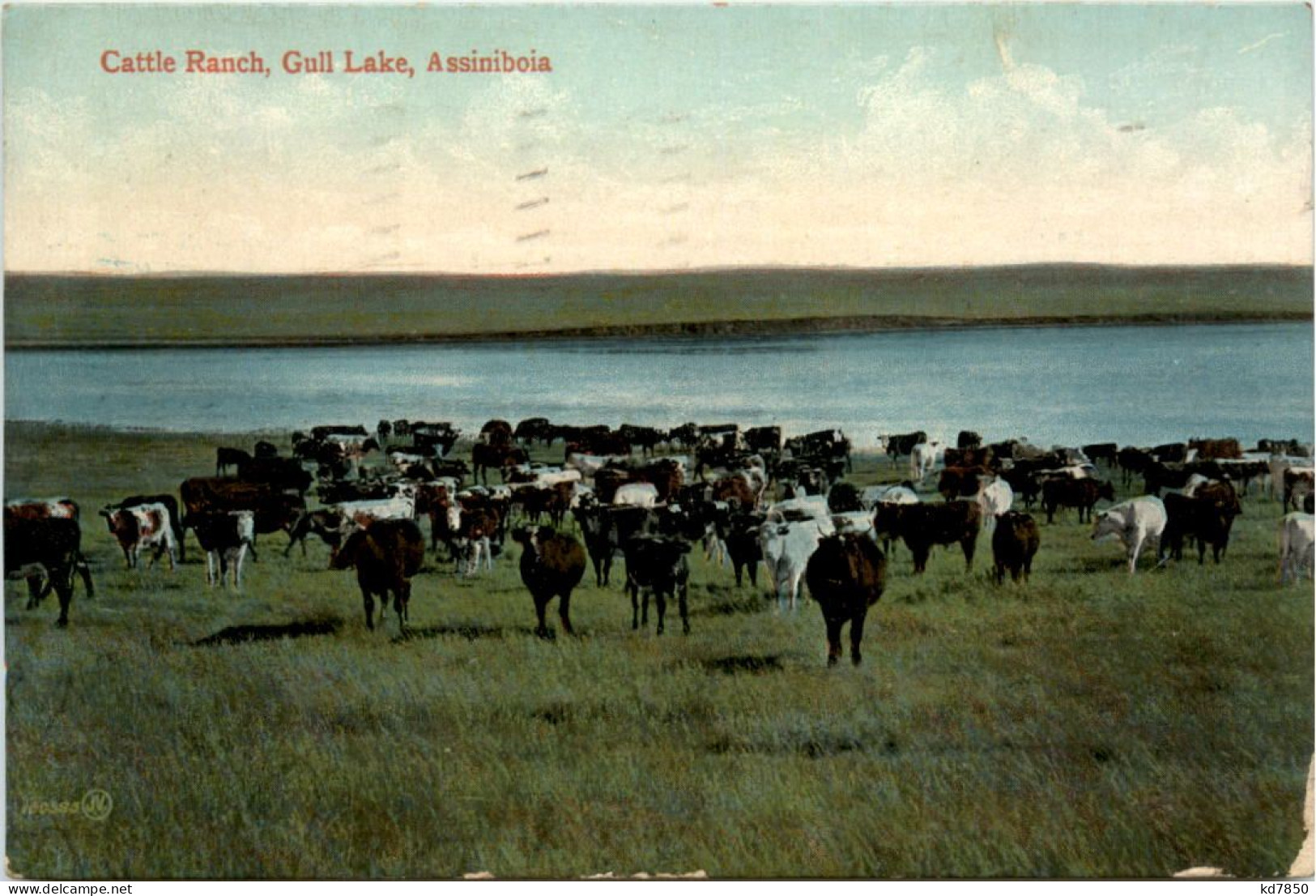 Assiniboia - Gull Lake - Autres & Non Classés
