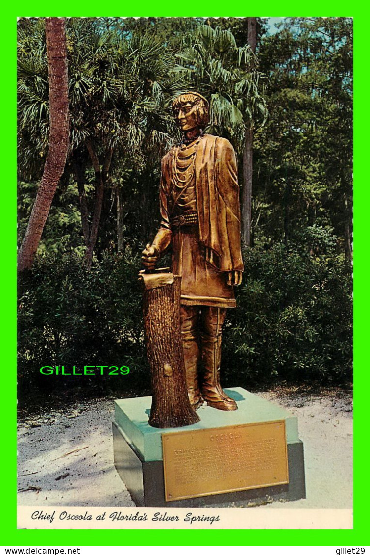 SILVER SPRINGS, FL - CHIEF OSCEOLA  AT FLORIDA'S SILVER SPRINGS GUARDS THE SILVER RIVER - CURTEICHCOLOR -- - Silver Springs