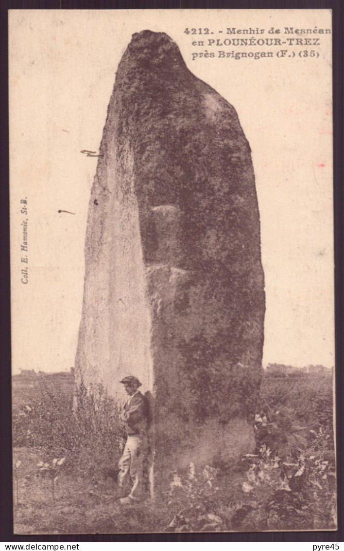 MENHIR DE MESNEAN EN PLOUNEOUR TREZ PRES BRIGNOGAN - Dolmen & Menhirs