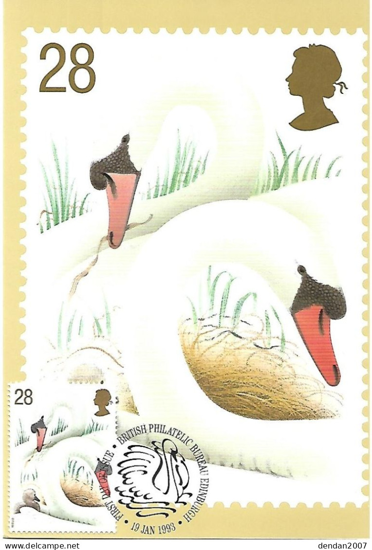 Great Britain - Maximum Card  - Mute Swan  -  Cygnus Olor	 (swans In Love Breeding On Nest With Chick) - Swans