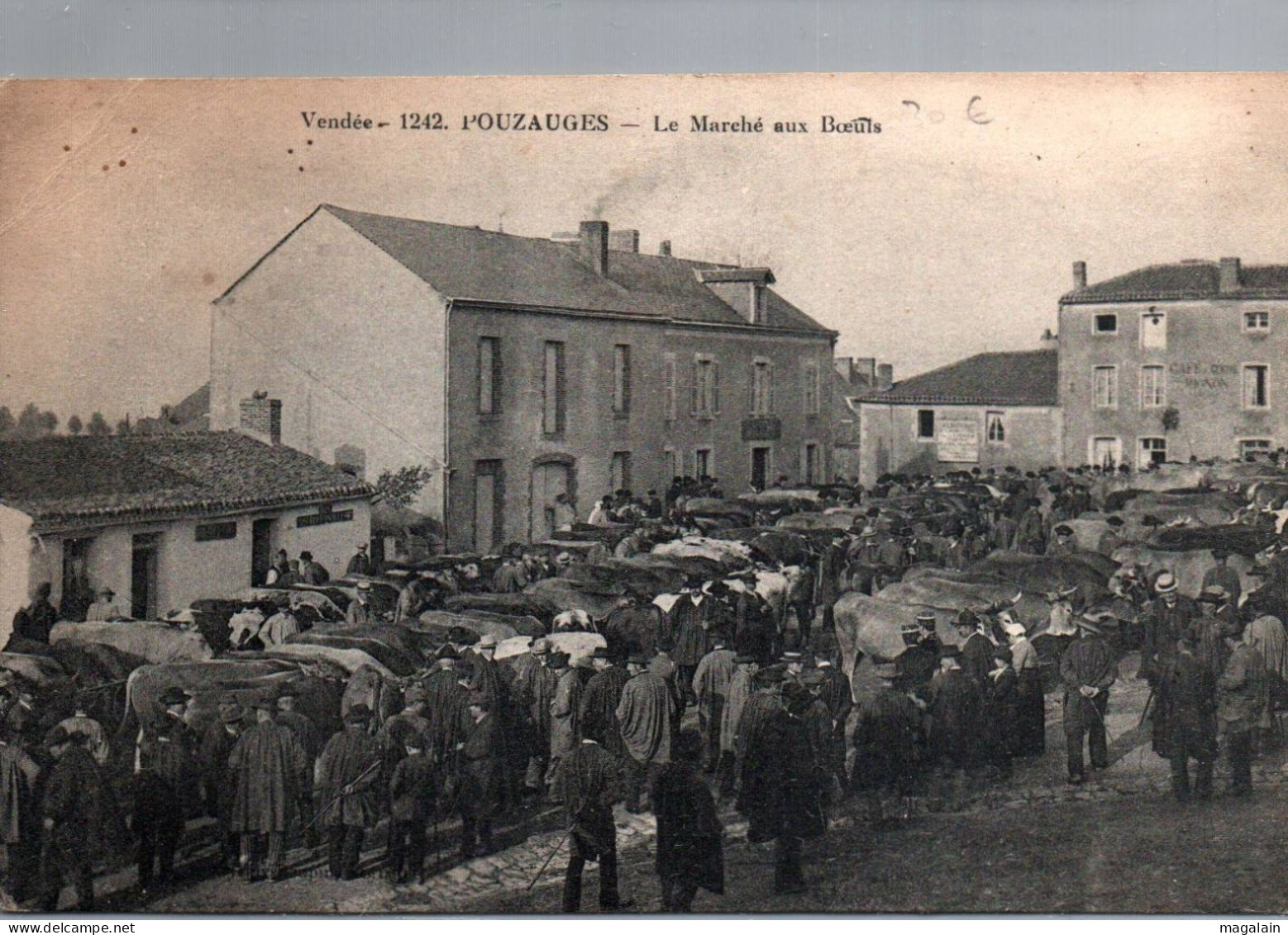 Pouzauges : Le Marché Aux Boeufs - Pouzauges