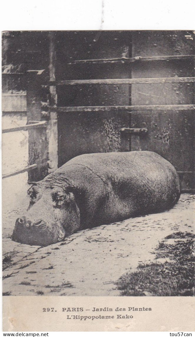 PARIS - LE JARDIN DES PLANTES - CPA 1912 - L'HIPPOPOTAME KAKO. - Nijlpaarden