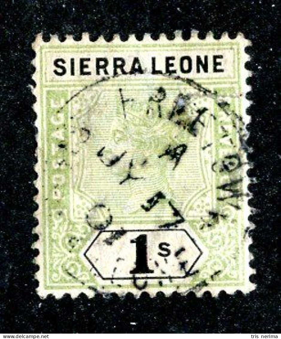 8208 BCXX 1896 Sierra Leone Scott # 43 Used Cv$22.50 - Sierra Leone (...-1960)