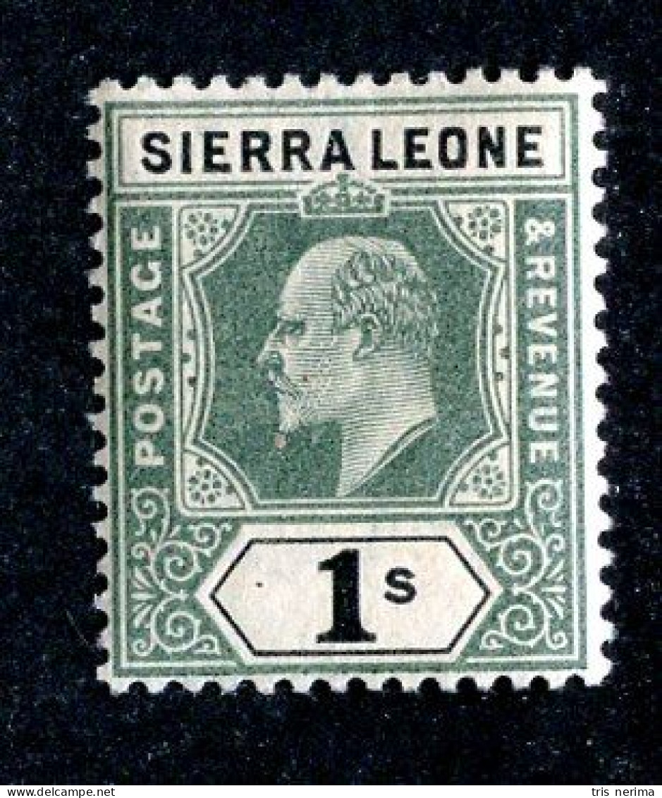 8209 BCXX 1903 Sierra Leone Scott # 73 MNH** Cv$26 - Sierra Leone (...-1960)