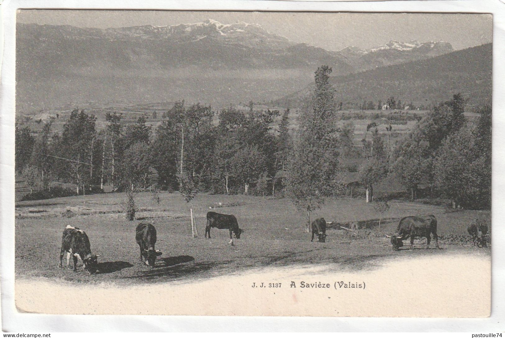 CPA :  14 X 9  -  A  Savièze  (Valais) - Savièse