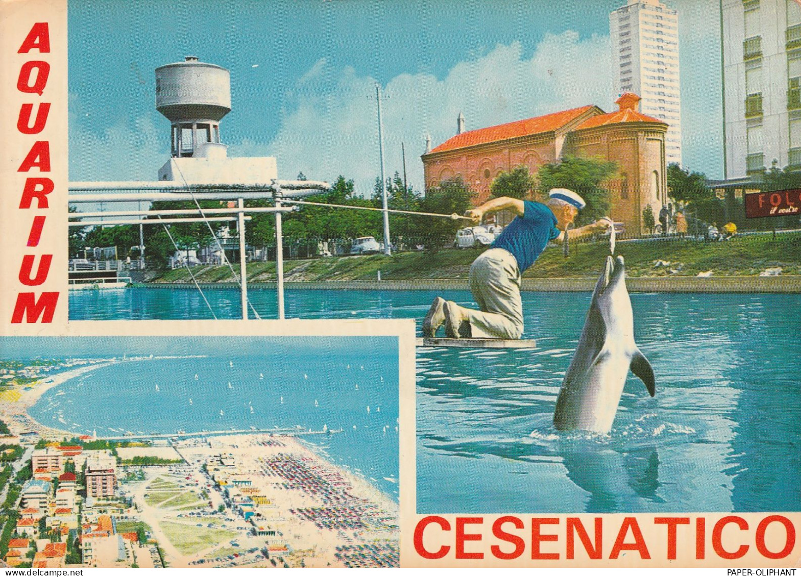 DELFINE / Dolphins - Aquarium Cesenatico - Dauphins