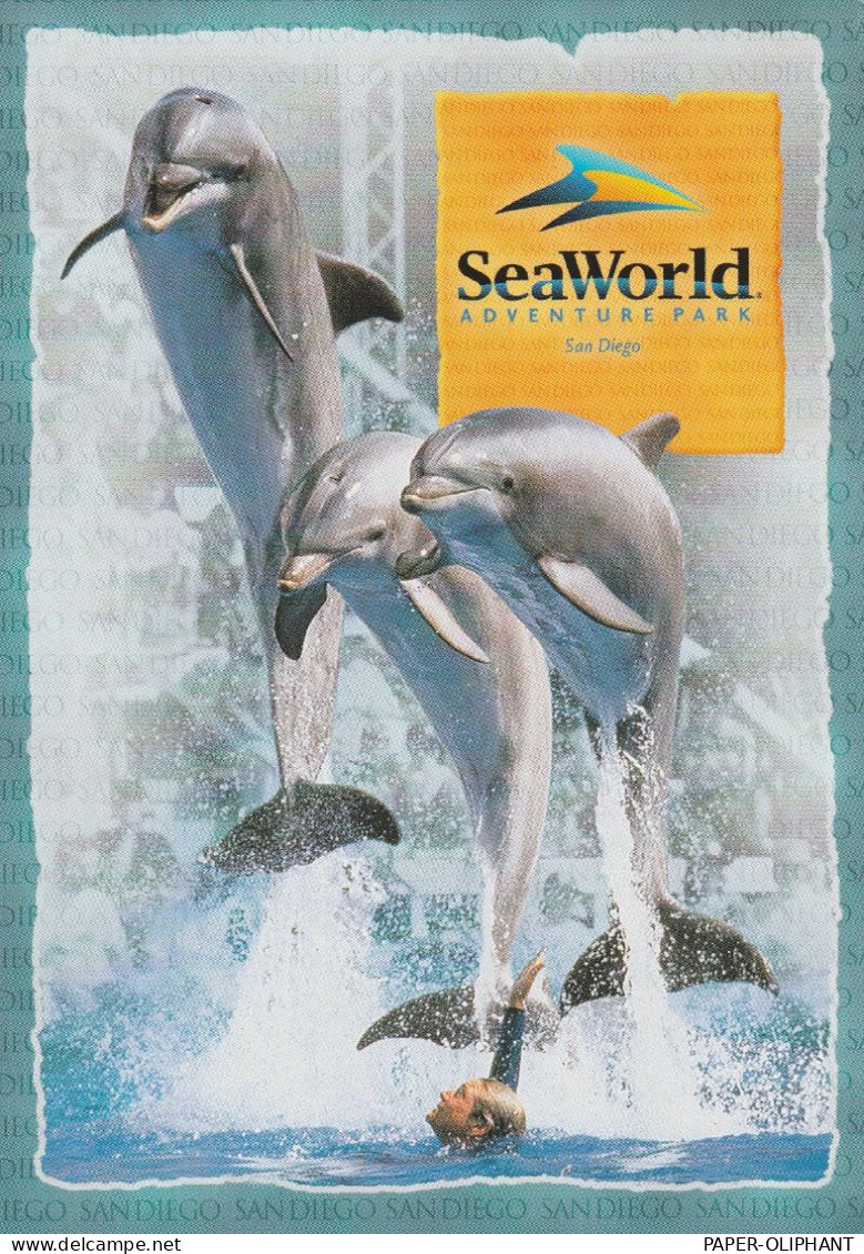 DELFINE / Dolphins - Seaworld San Diego - Dolphins