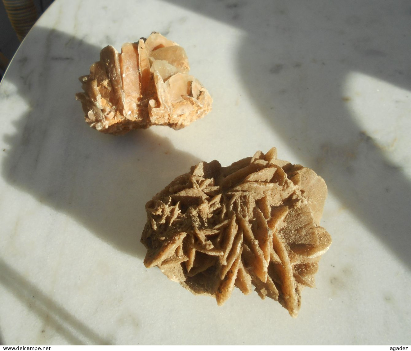 2 Roses Des Sables (gypse) - Minerals