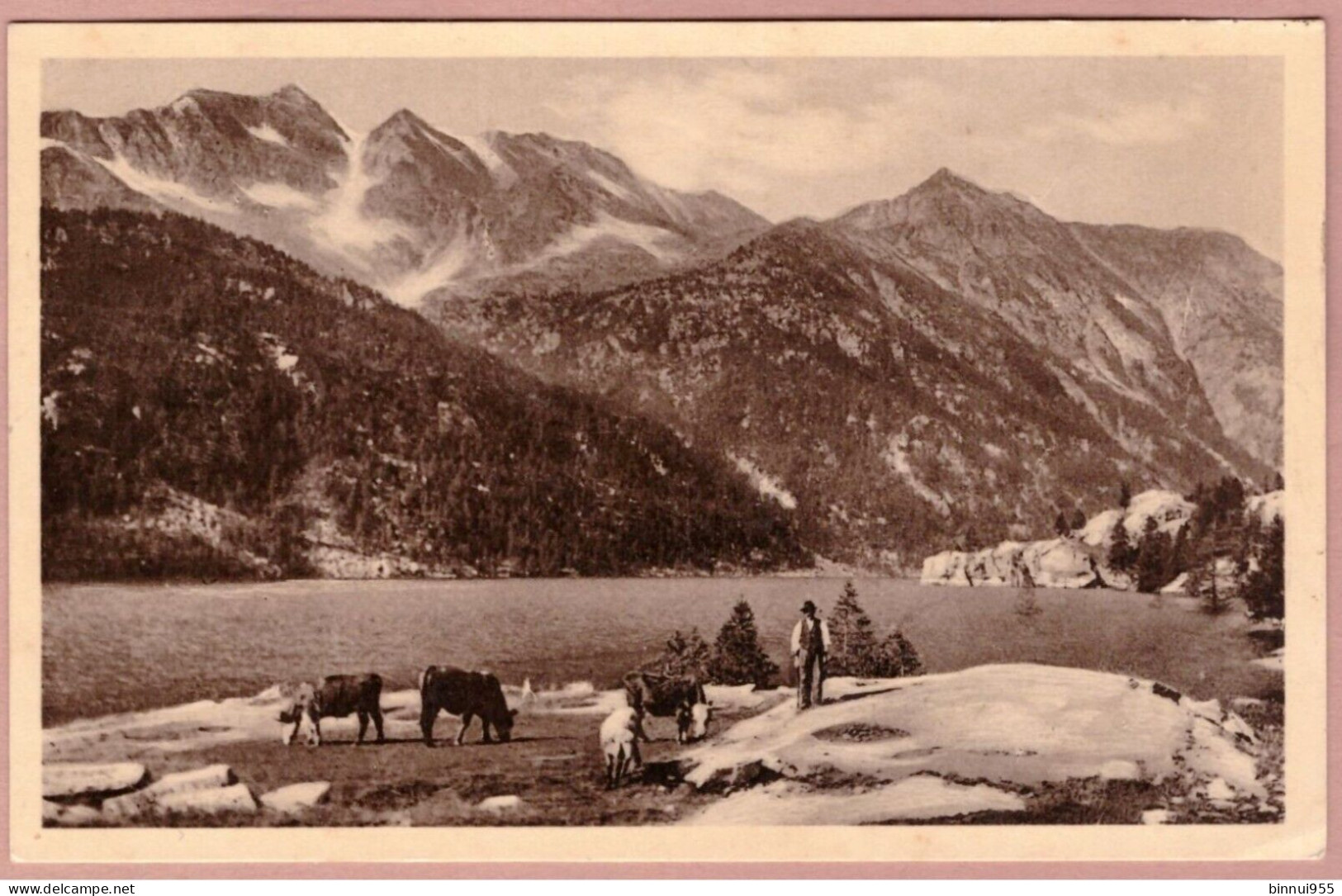 Cartolina Ceresole Reale M. 1500 Il Lago E Le Levonne Viaggiata - Panoramic Views