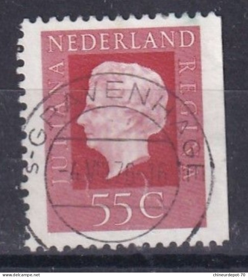 Nederland Pays-bas Hertogenbosch Bois-le-Duc Terneuzen Gravenhage La Haye - Used Stamps