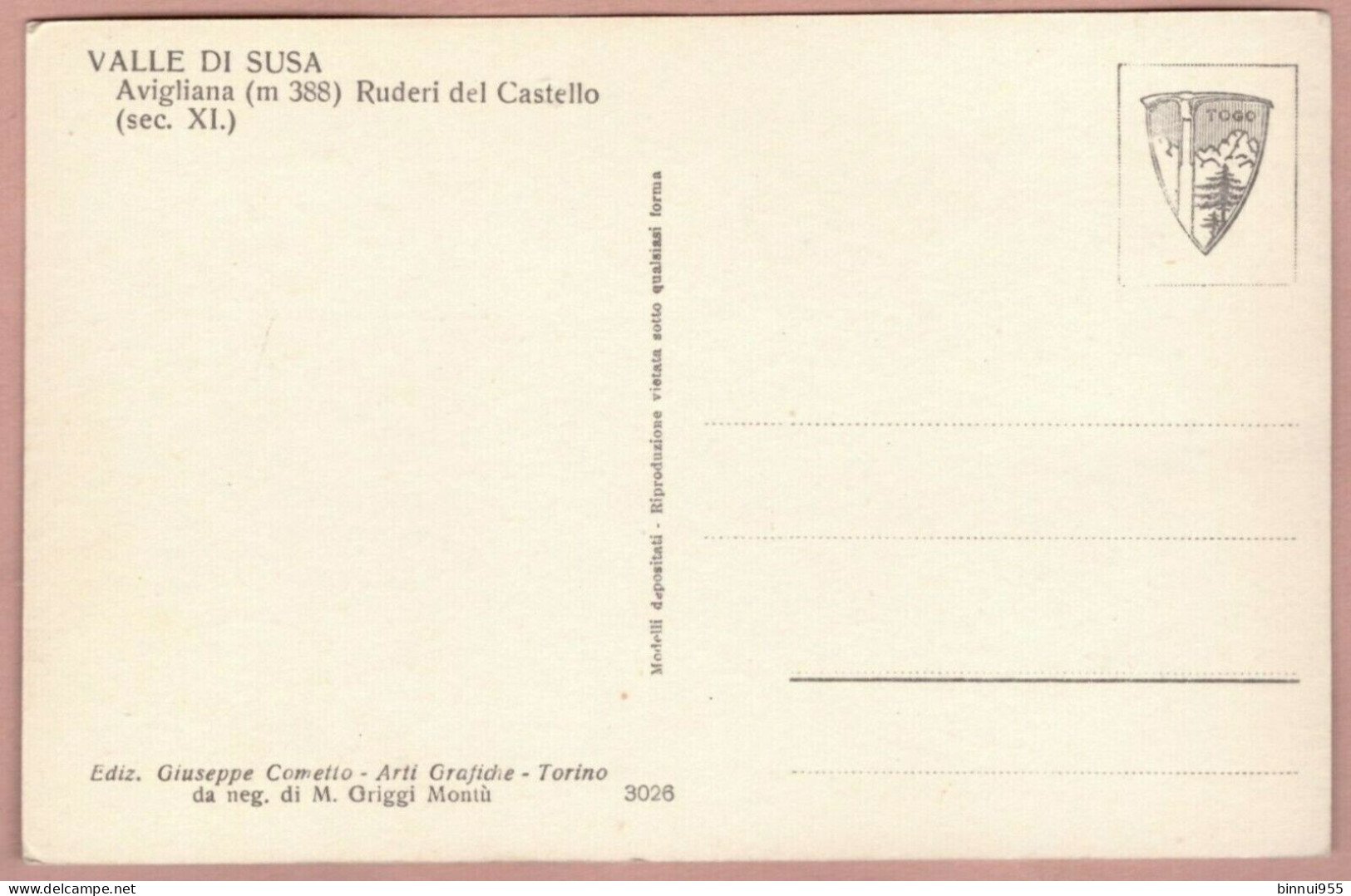 Cartolina Valle Di Susa Avigliana Ruderi Del Castello - Non Viaggiata - Panoramische Zichten, Meerdere Zichten