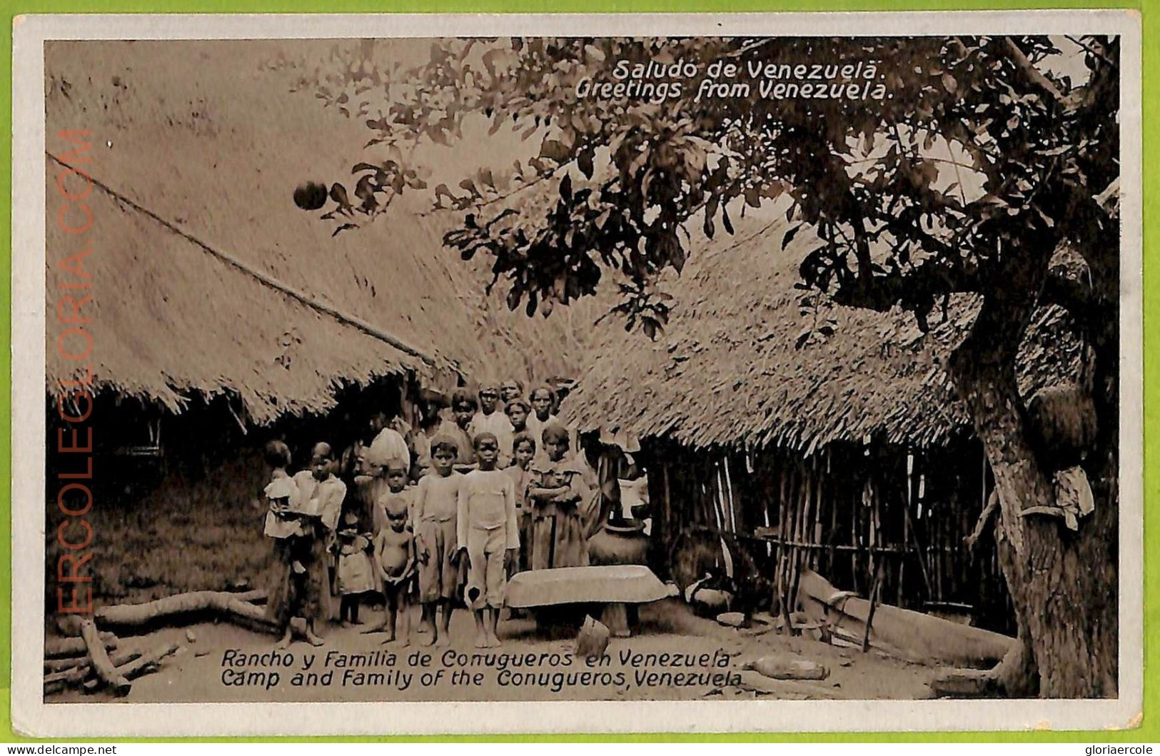 Af3048 -  VENEZUELA - VINTAGE POSTCARD - Ethnic - Amérique