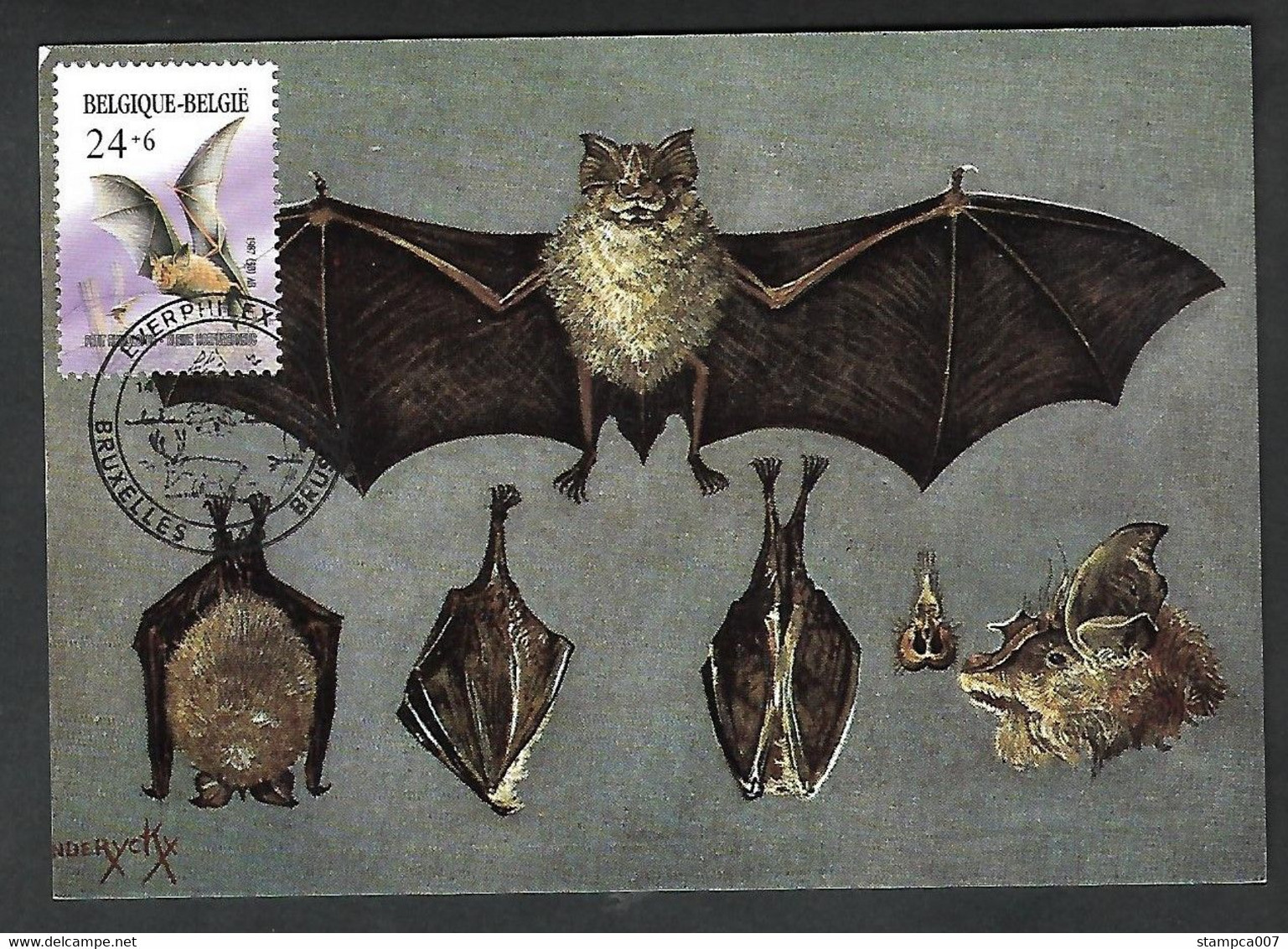 OCB Nr 2245 Fauna Vleermuis Chauve Souris Bat Fledermaus - Storia Postale