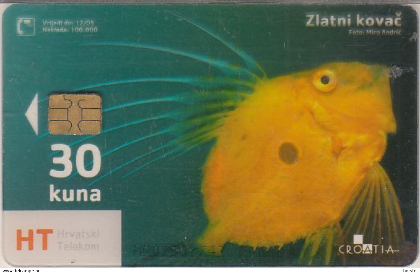 Kroatien - Croatia 385 - Under Water (Transparent Card) Fish - Croazia