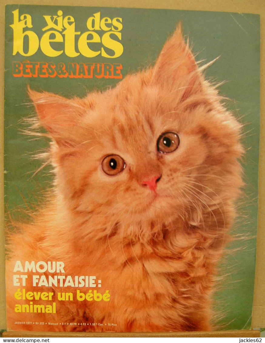 222/ LA VIE DES BETES / BETES ET NATURE N° 222 Du 1/1977, Voir Sommaire - Animali