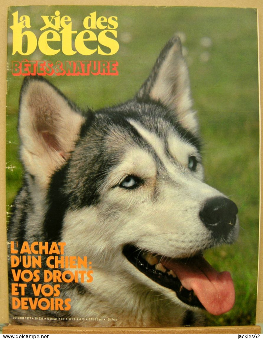 231/ LA VIE DES BETES / BETES ET NATURE N° 231 Du 10/1977, Voir Sommaire - Animals