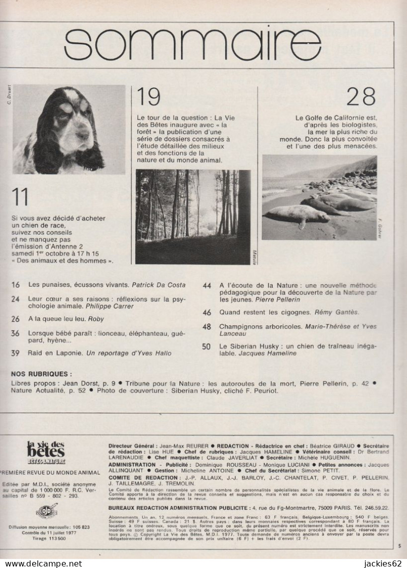 231/ LA VIE DES BETES / BETES ET NATURE N° 231 Du 10/1977, Voir Sommaire - Animaux