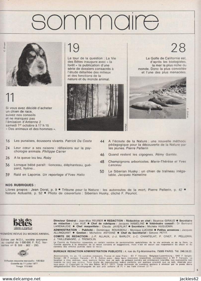 231/ LA VIE DES BETES / BETES ET NATURE N° 231 Du 10/1977, Voir Sommaire - Animali