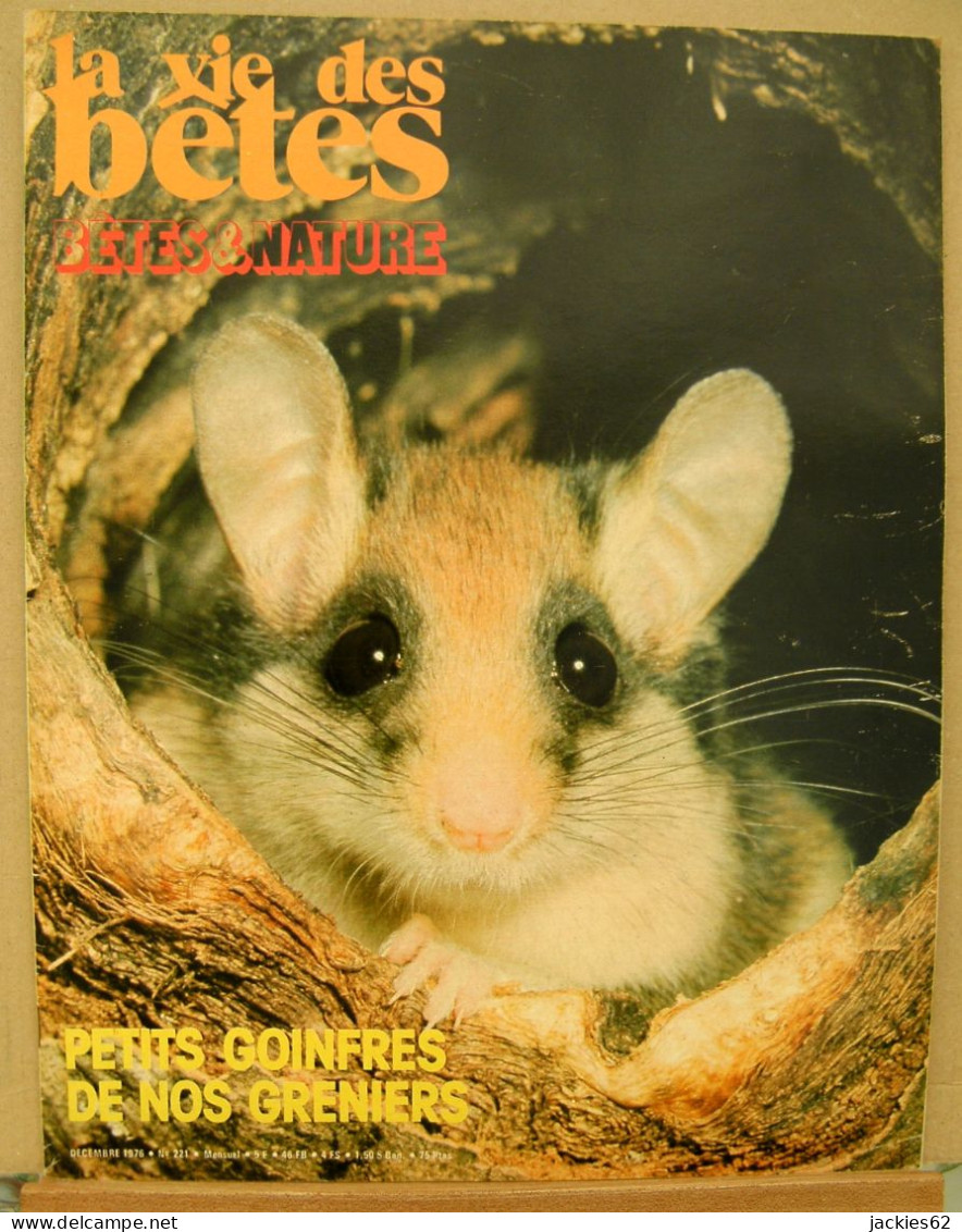 221/ LA VIE DES BETES / BETES ET NATURE N° 221 Du 12/1976, Voir Sommaire - Animals