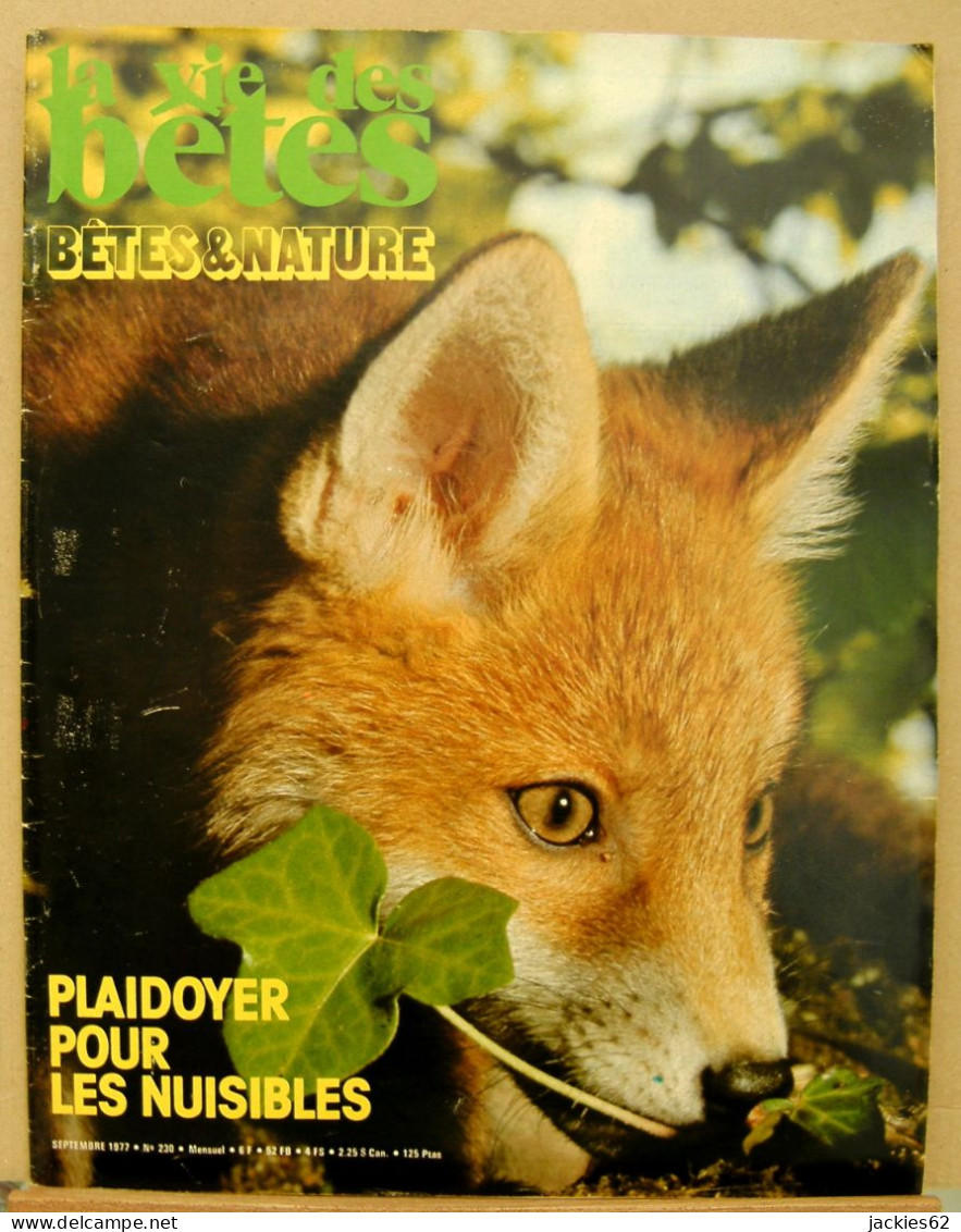 230/ LA VIE DES BETES / BETES ET NATURE N° 230 Du 9/1977, Voir Sommaire - Animals