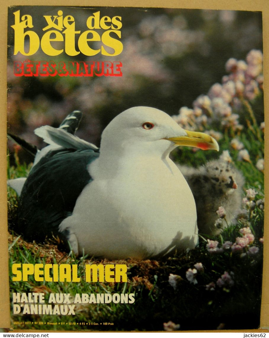 228/ LA VIE DES BETES / BETES ET NATURE N° 228 Du 7/1977, Voir Sommaire - Animali