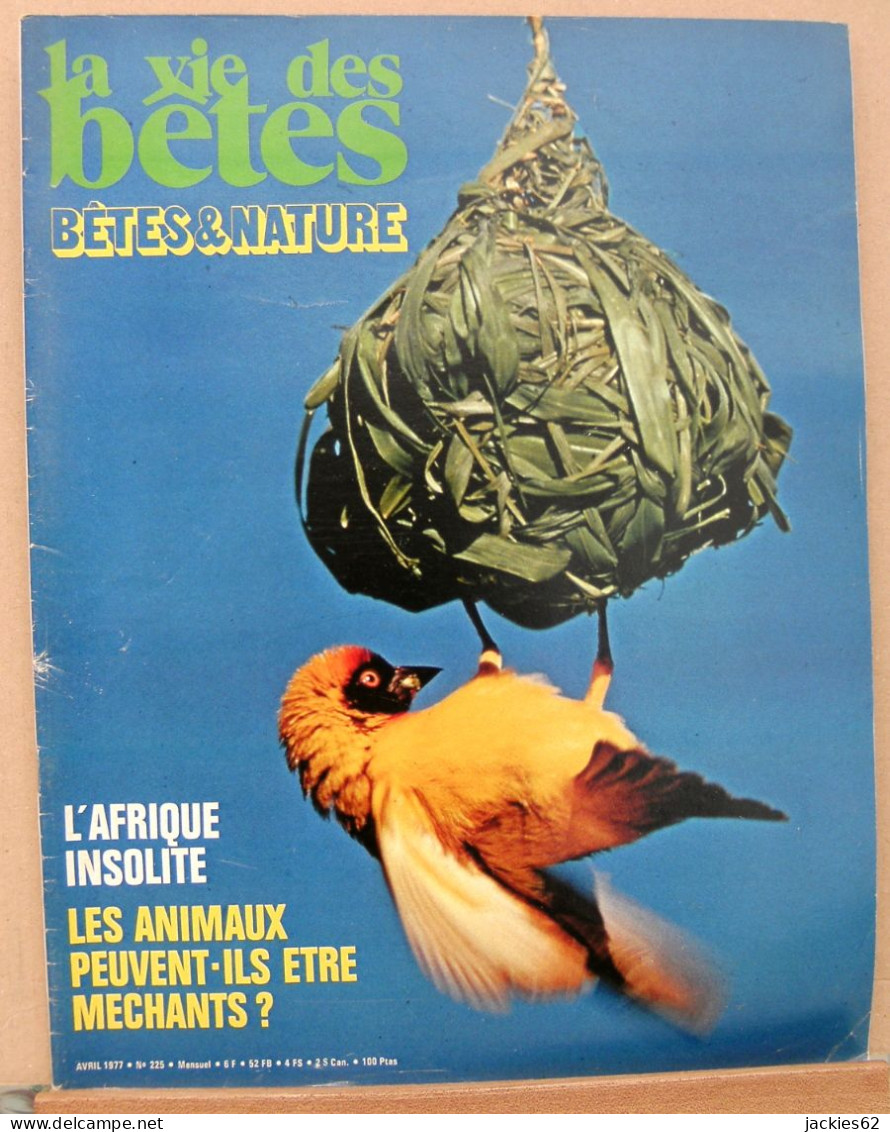 225/ LA VIE DES BETES / BETES ET NATURE N° 225 Du 4/1977, Voir Sommaire - Animals
