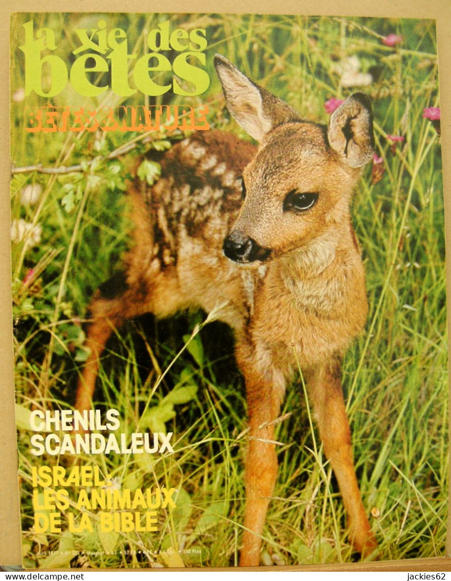 227/ LA VIE DES BETES / BETES ET NATURE N° 227 Du 6/1977, Voir Sommaire - Animals