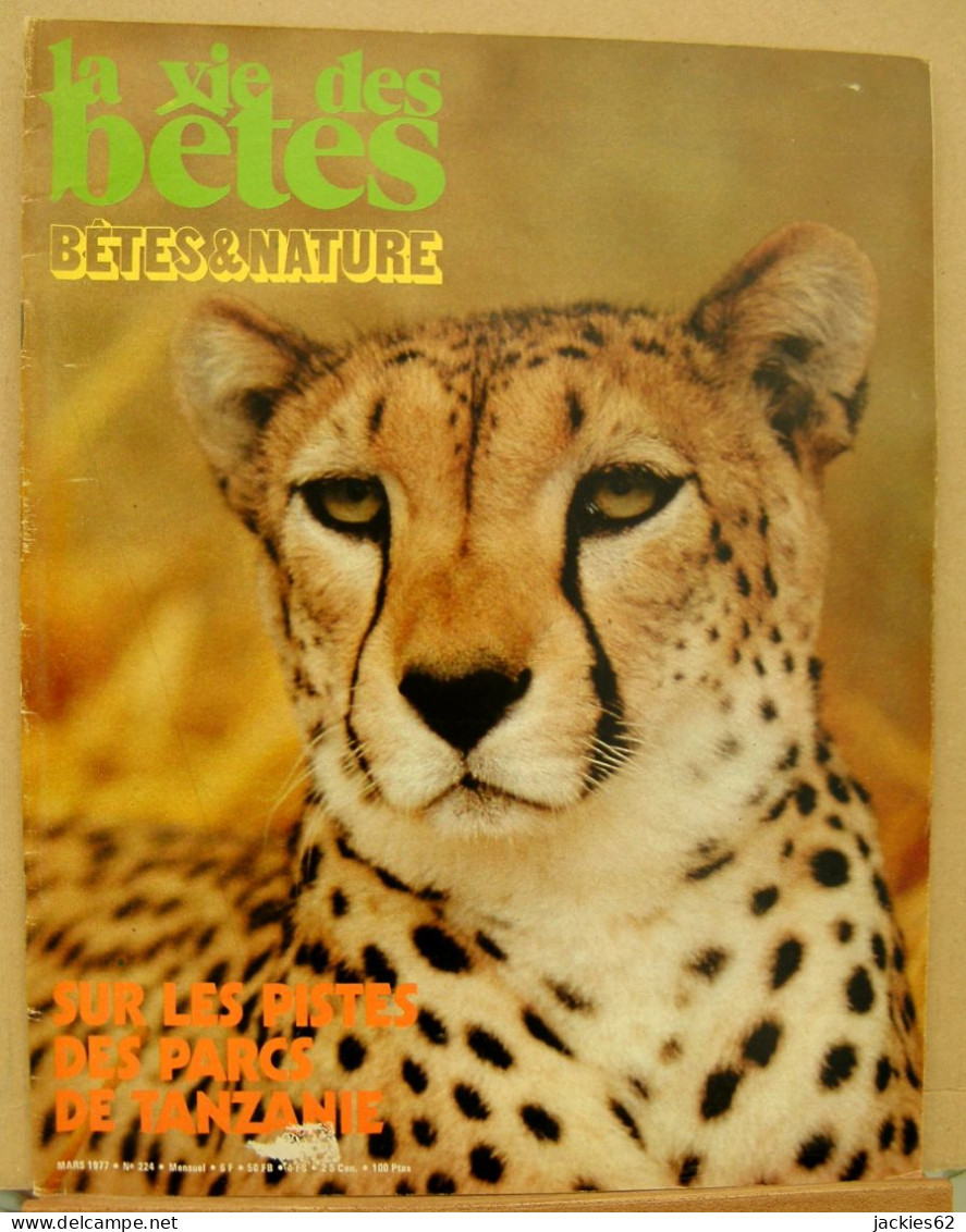 224/ LA VIE DES BETES / BETES ET NATURE N° 224 Du 3/1977, Voir Sommaire - Animaux