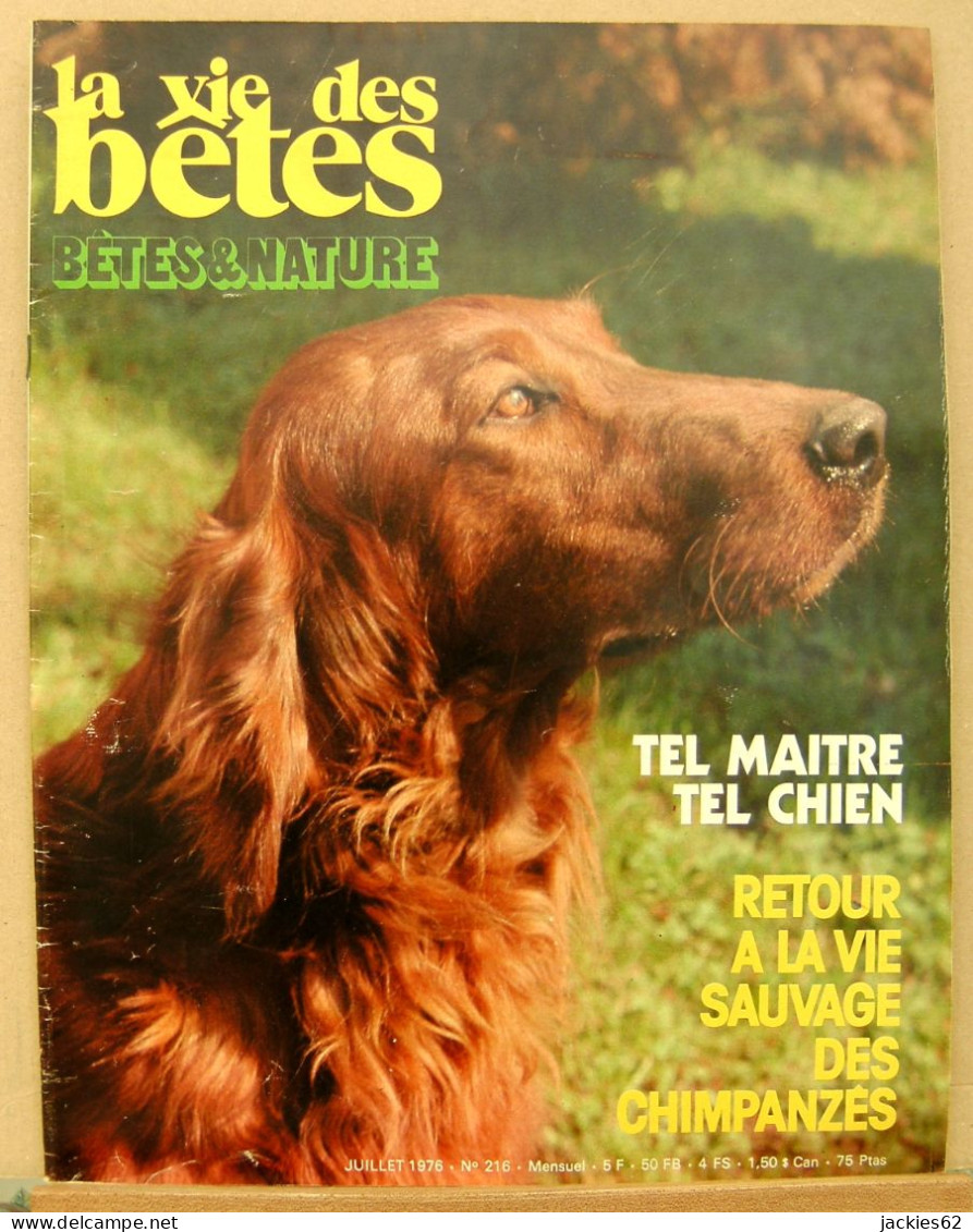 216/ LA VIE DES BETES / BETES ET NATURE N° 216 Du 7/1976, Voir Sommaire - Animals