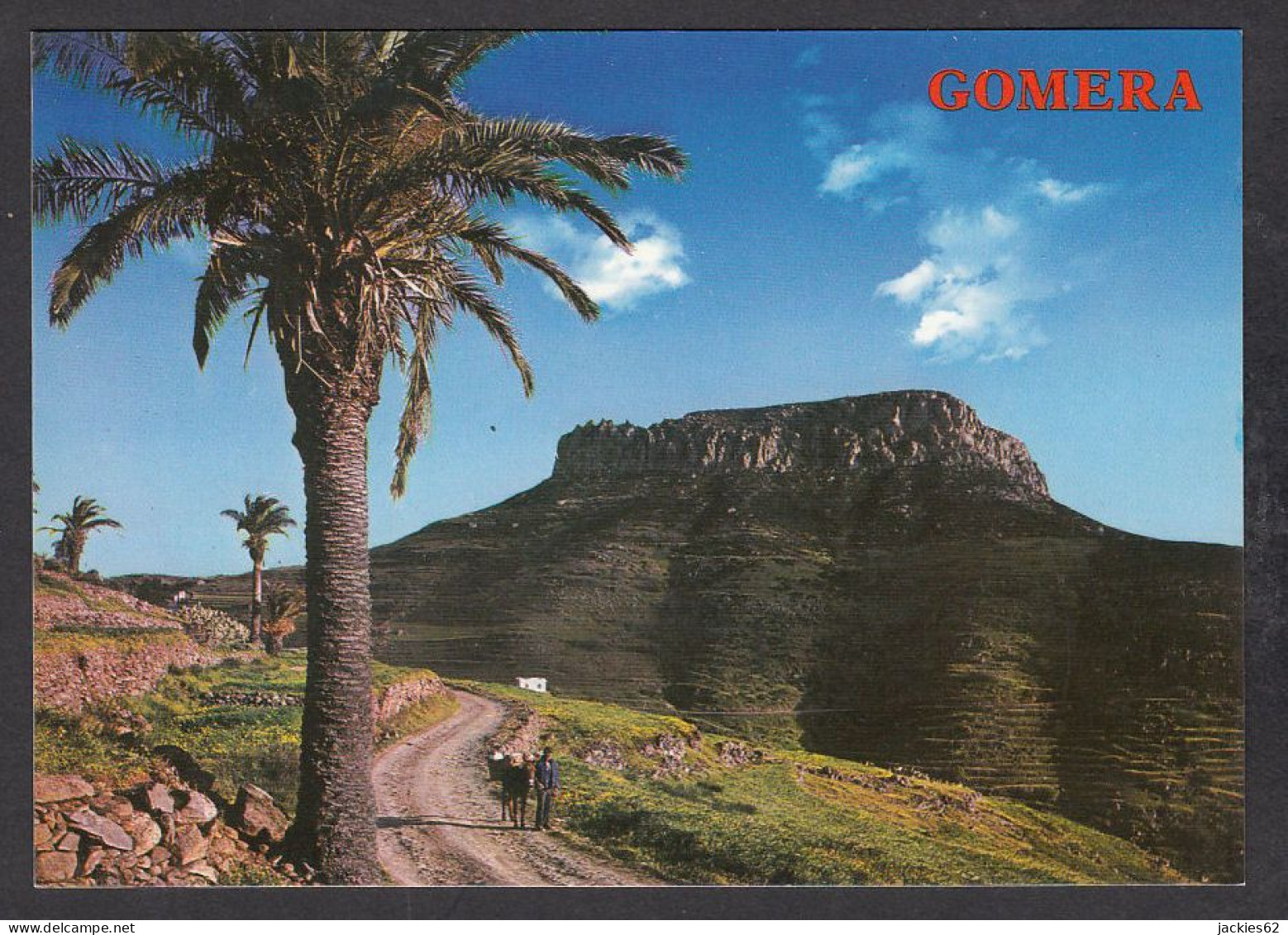 073269/ VALLEHERMOSO, Chipude, La Dehesa  - Gomera