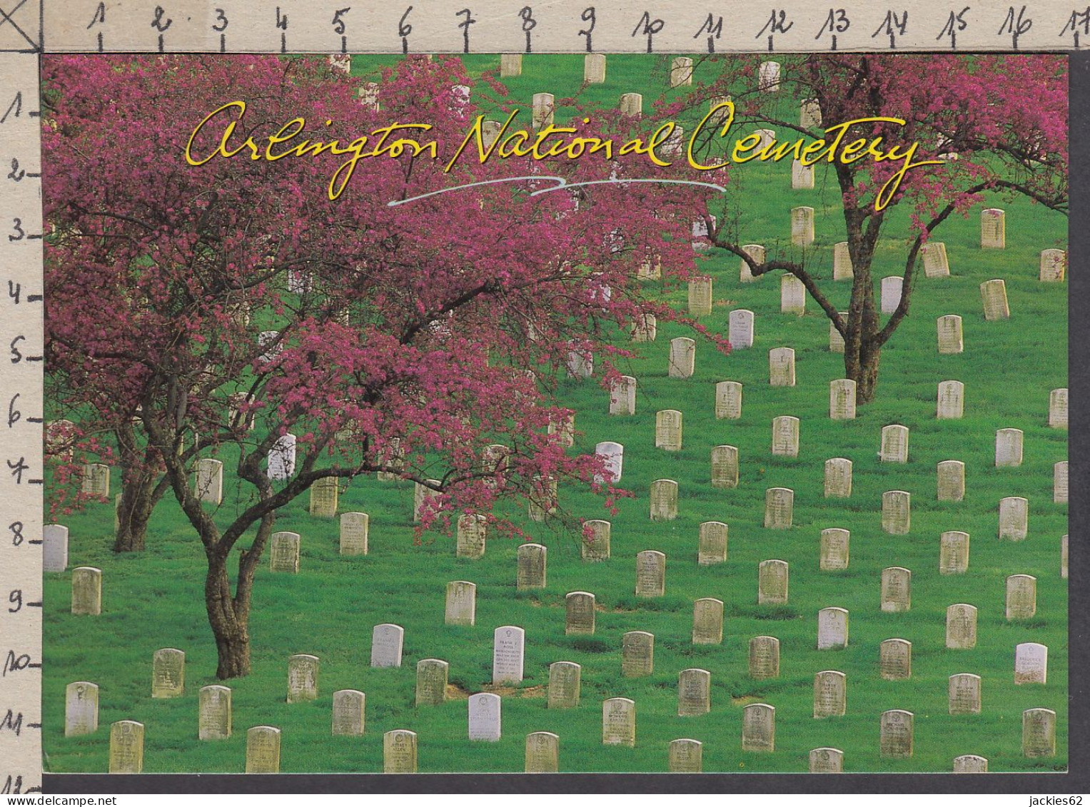 115196GF/ ARLINGTON, Arlington National Cemetery - Arlington