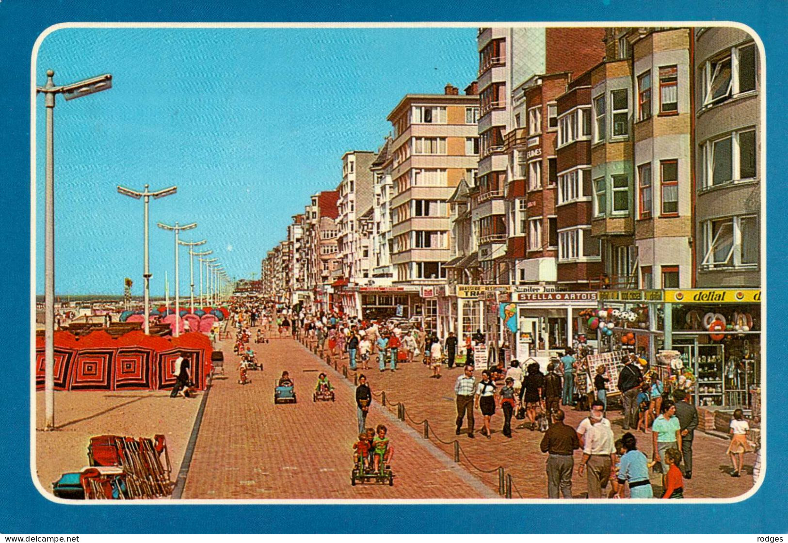 BELGIQUE , LOT De 15 Cp DE PANNE ,TONGERLO ,BANNEUX ,Cote BELGE , GENT , KOKSIJDE, BRUGGE, CHASSEPIERRE, BRUXELLES (004) - Sammlungen & Sammellose