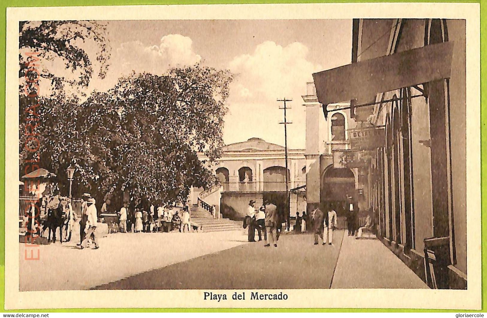 Af3036 -  VENEZUELA - VINTAGE POSTCARD - Playa Del Mercado - Venezuela