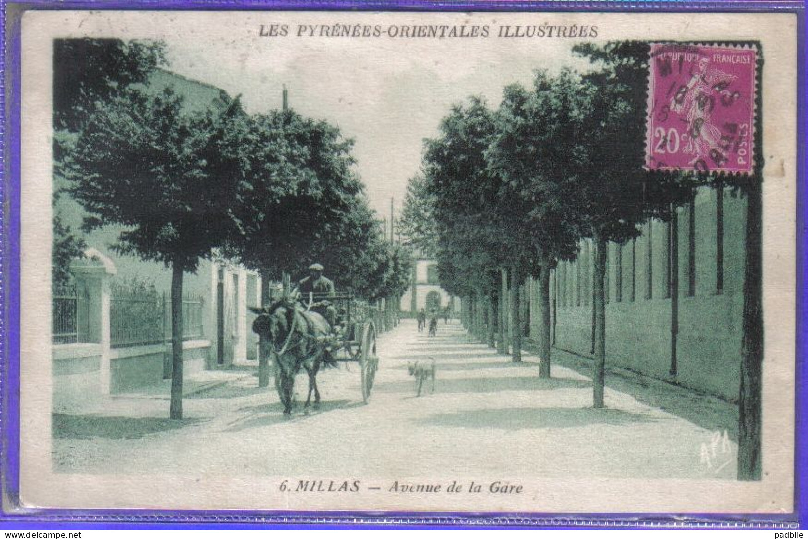 Carte Postale 66. Millas  Avenue De La Gare Très Beau Plan - Millas