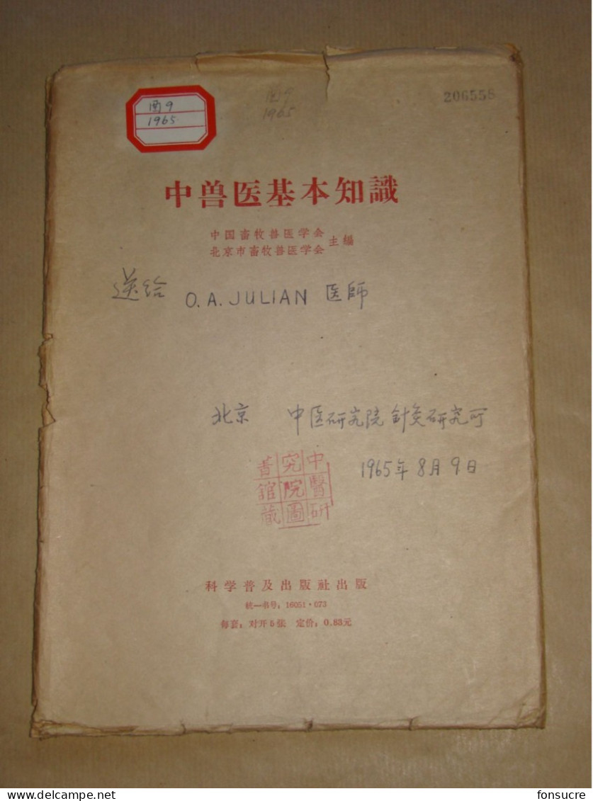 Rare Pochette de 5 Planches Anatomiques Points Méridiens Acupuncture Cheval Chevaux Médecine Chinoise - Chine 1965