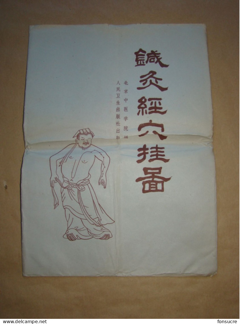 Pochette de 4 Planches Anatomiques Points Méridiens Acupuncture Corps Humain Médecine Chinoise - Chine (1963)