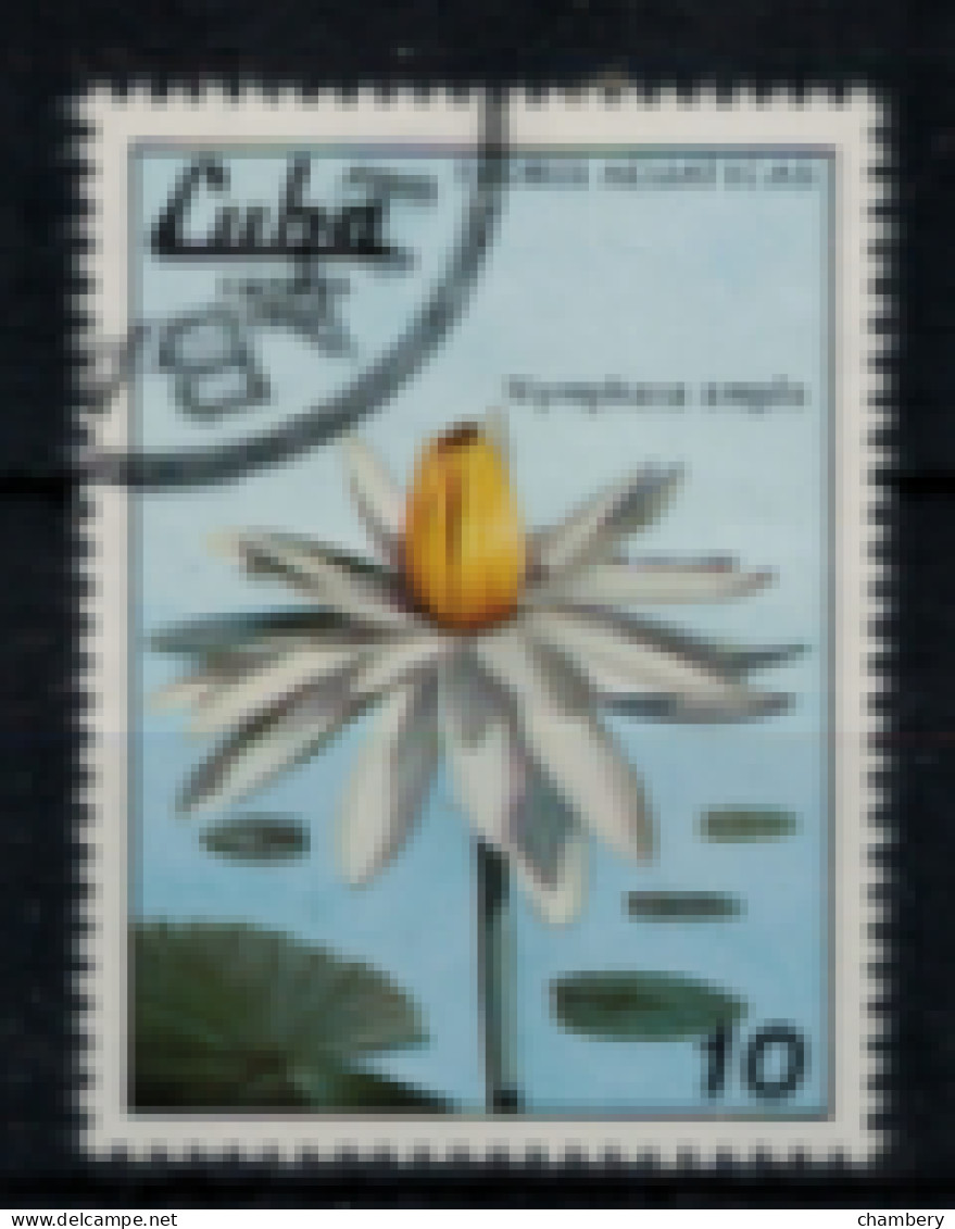 Cuba - "Fleurs Aquatiques : Nymphéa Ampla" - Oblitéré N° 2106 De 1979 - Usados