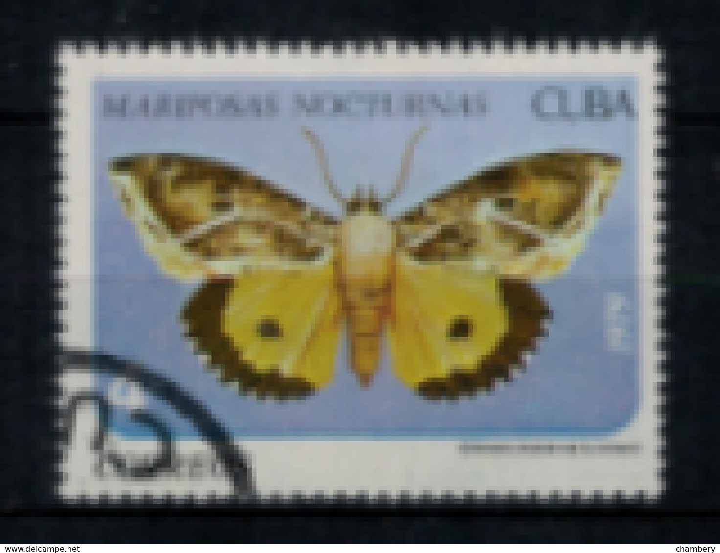 Cuba - "Papillons Cubains : Othreis Materna" - Oblitéré N° 2122 De 1979 - Usados