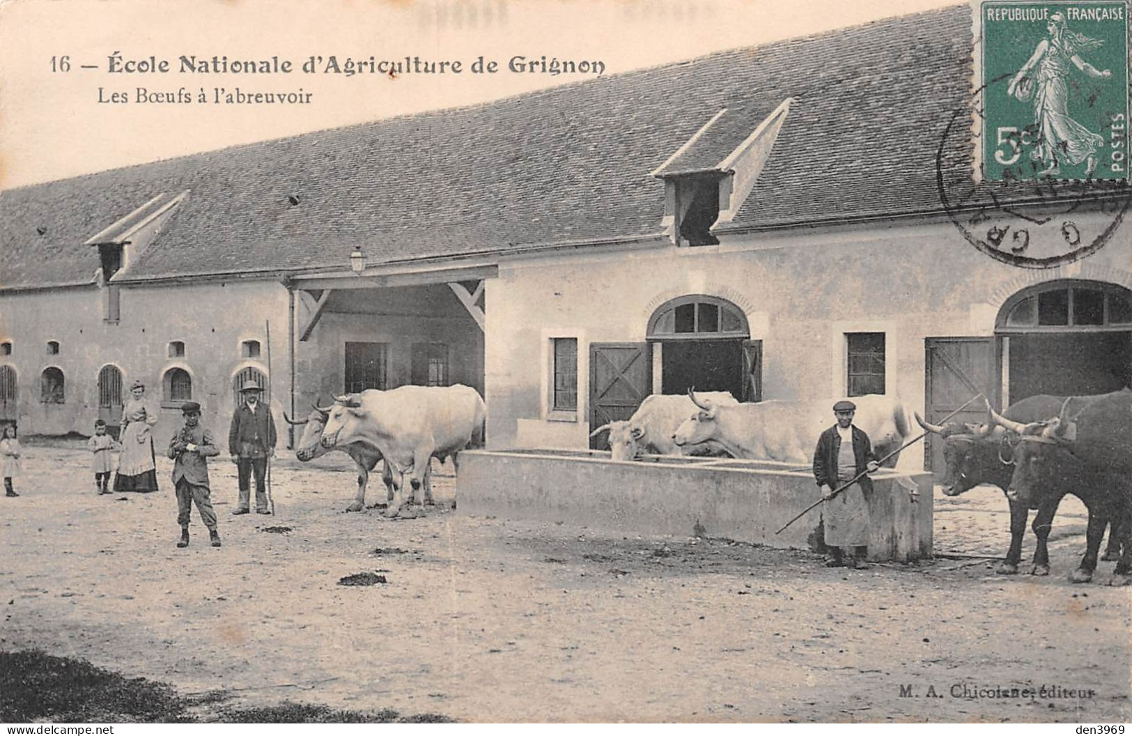 GRIGNON (Yvelines) - Ecole Nationale D'Agriculture - Les Boeufs à L'abreuvoir - Voyagé 1911 (2 Scans) - Grignon