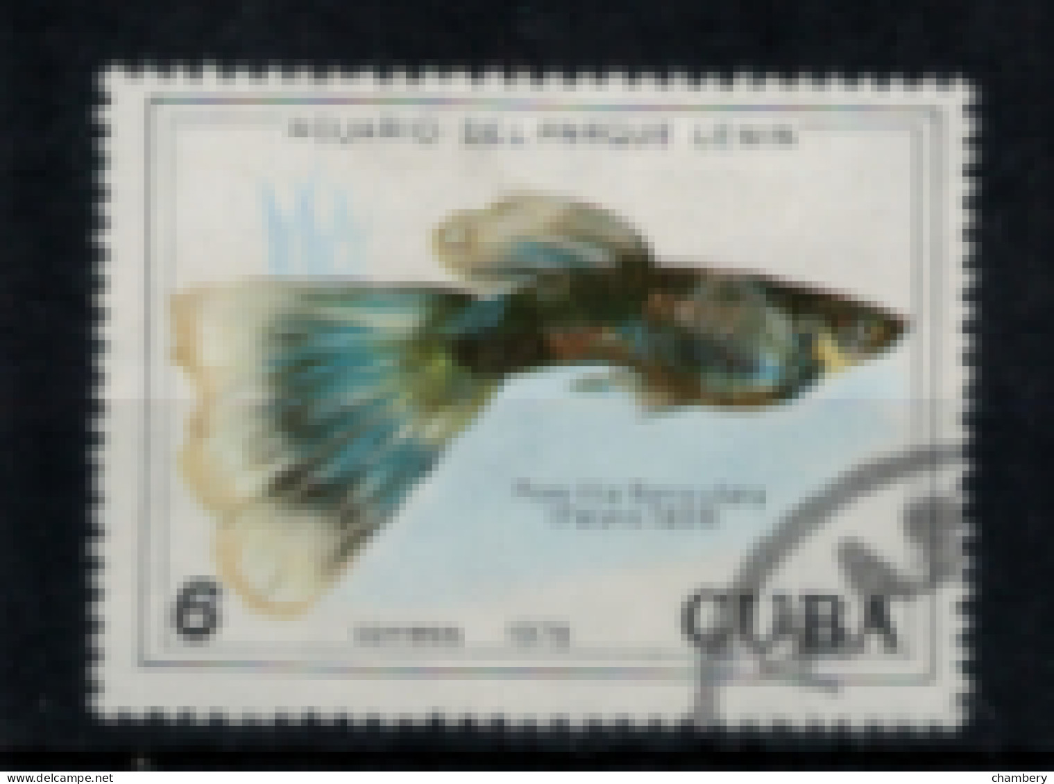 Cuba - "Poissons D'aquarium Du Parc Lénine : Poecilia Reticula" - Oblitéré N° 2060 De 1978 - Gebraucht