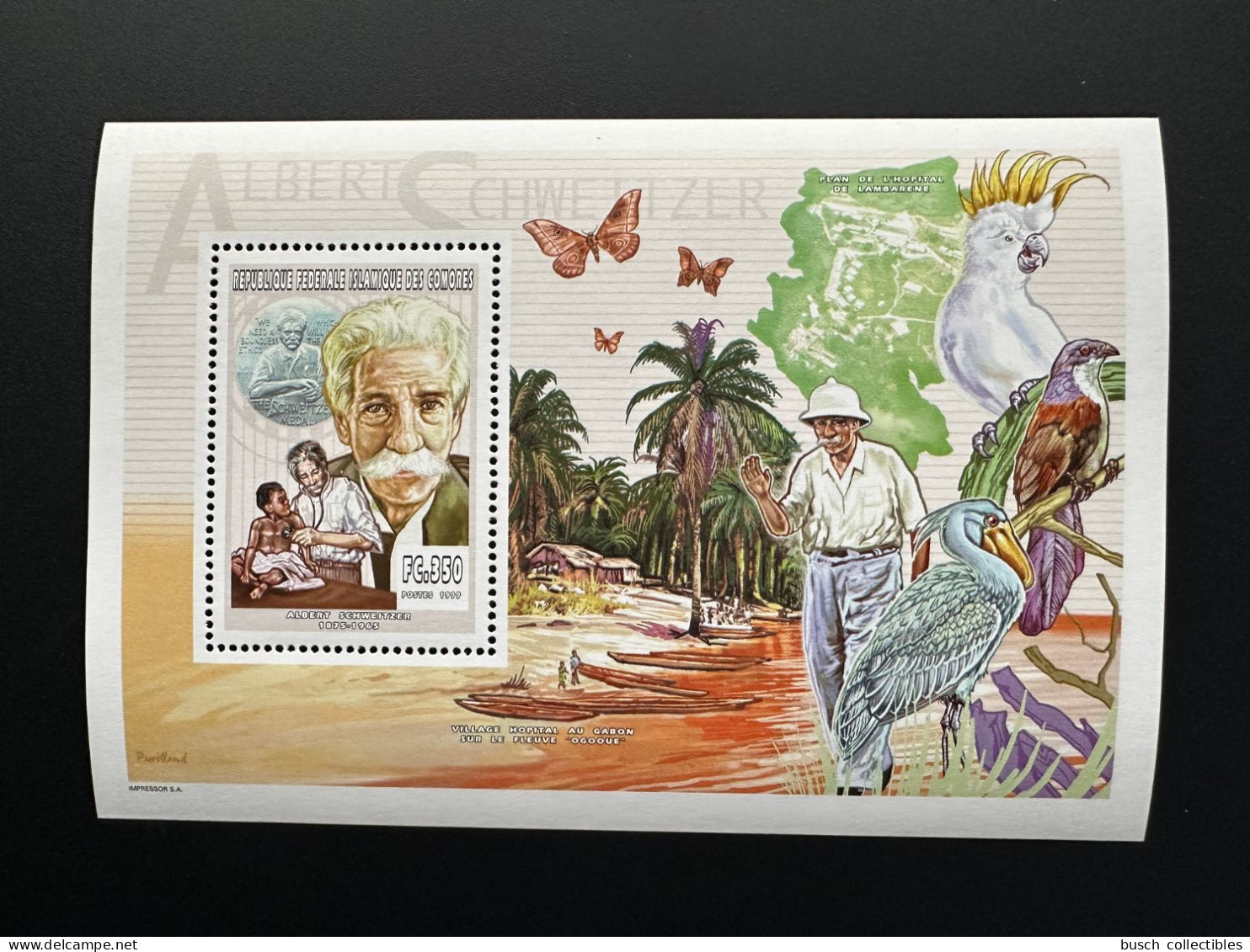 Comores Comoros Komoren 1999 YT 1117 Bloc De Luxe Albert Schweitzer Papillon Butterfly Oiseau Vogel Bird - Comores (1975-...)