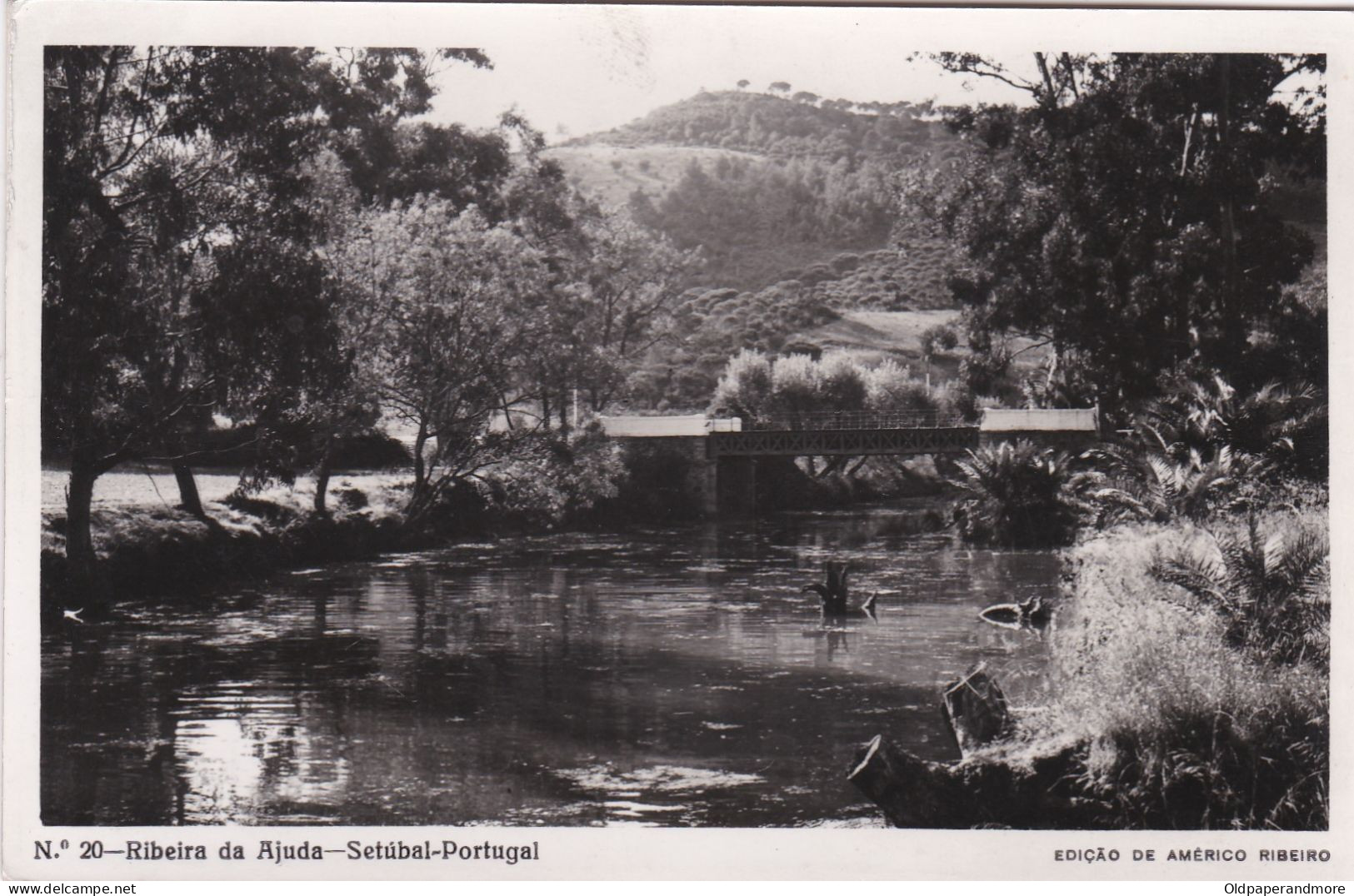 POSTCARD PORTUGAL - SETUBAL - RIBEIRA DA AJUDA - Setúbal