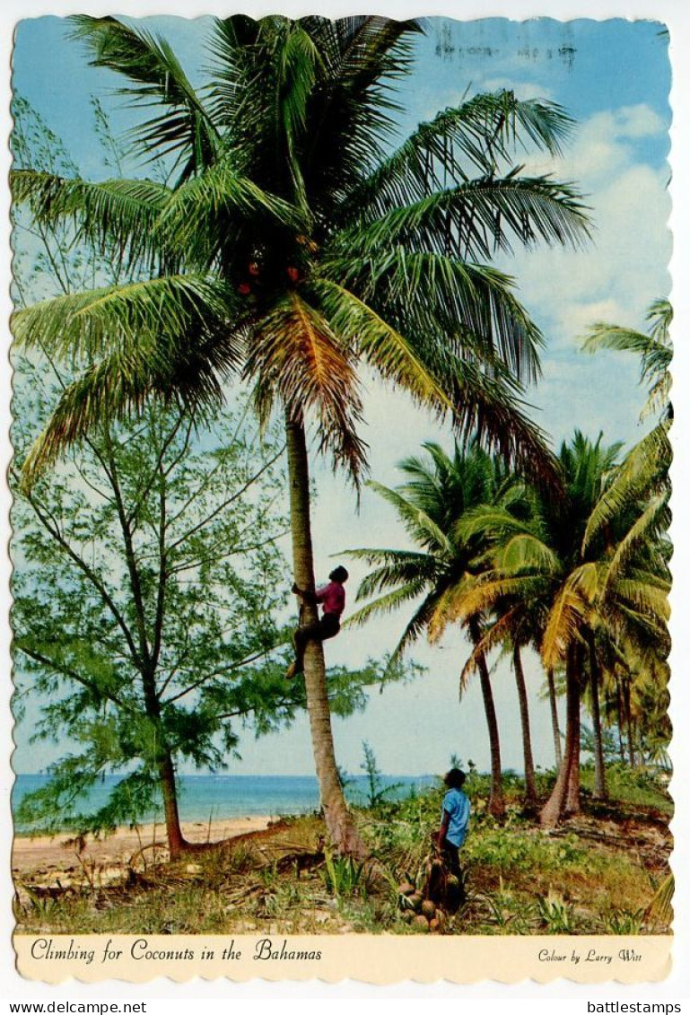 Bahamas 1979 Postcard Climbing For Coconuts, 16c. 250th Anniversary Of Parliament Stamp; Freeport Slogan Cancel - Bahamas