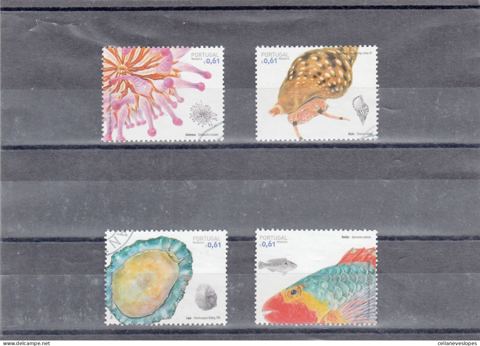 Portugal, (112), Fauna Marinha Da Madeira, 2007, Mundifil Nº 3531 A 3534 Used - Used Stamps