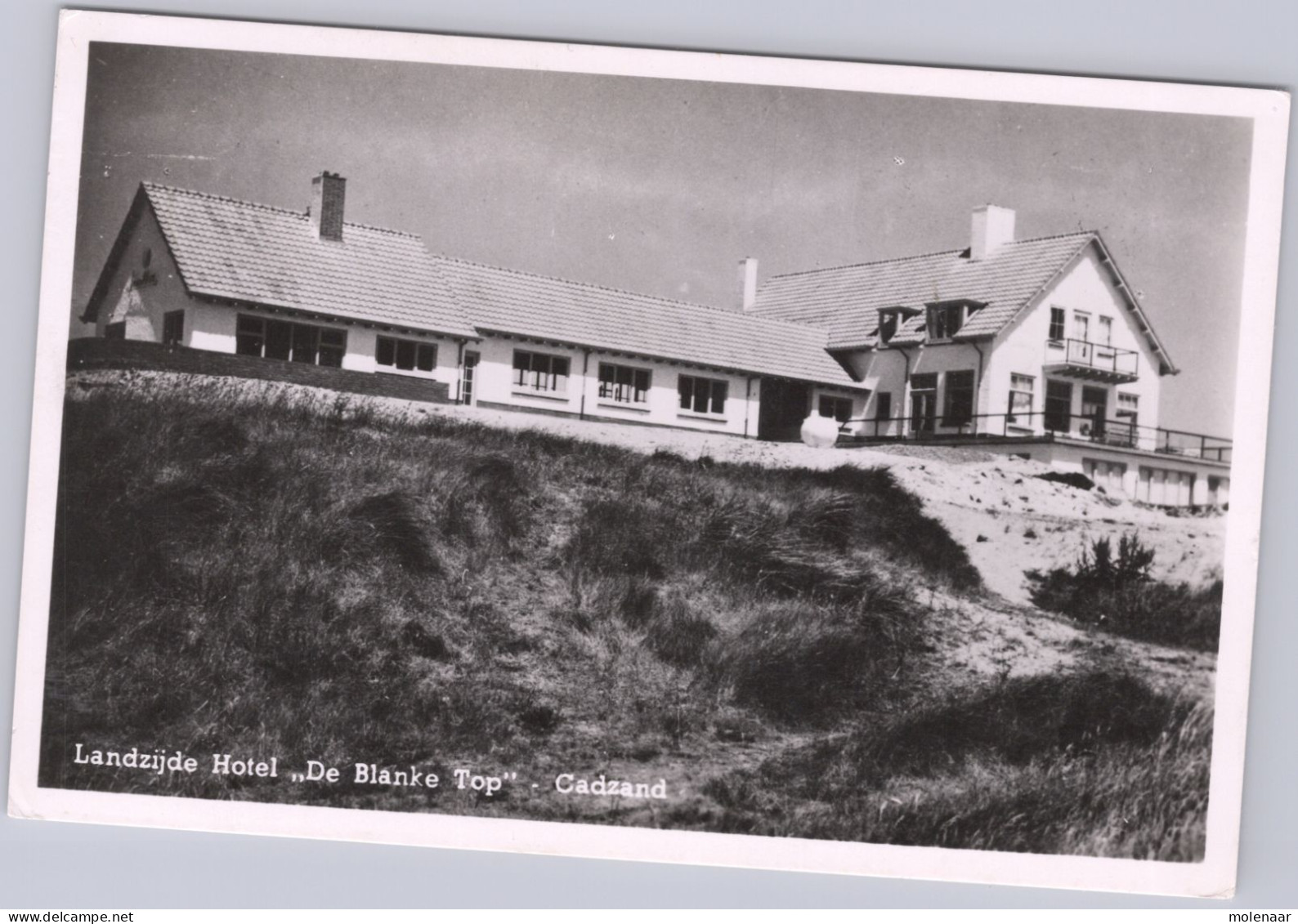 Postkaarten > Europa > Nederland > Zeeland > Cadzand > Hotel De Blanke Top Gebruikt 1954 (14929) - Cadzand