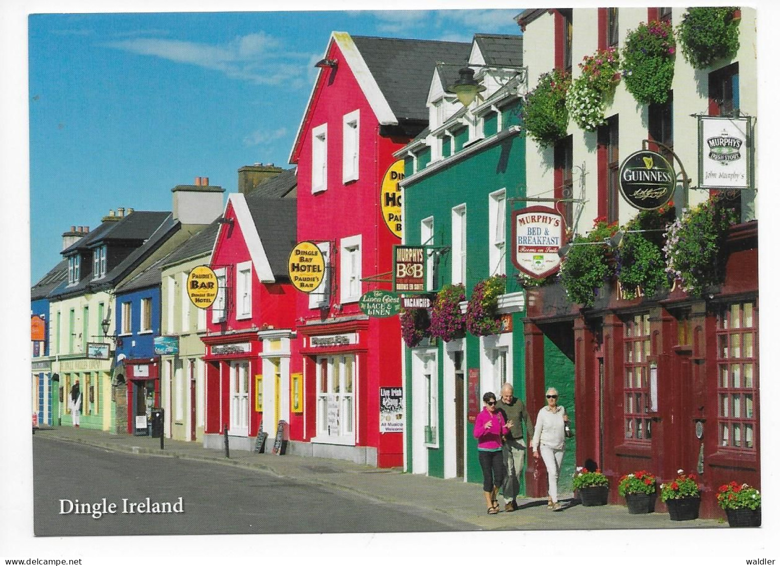 IRLAND  --  DINGLE - Kerry