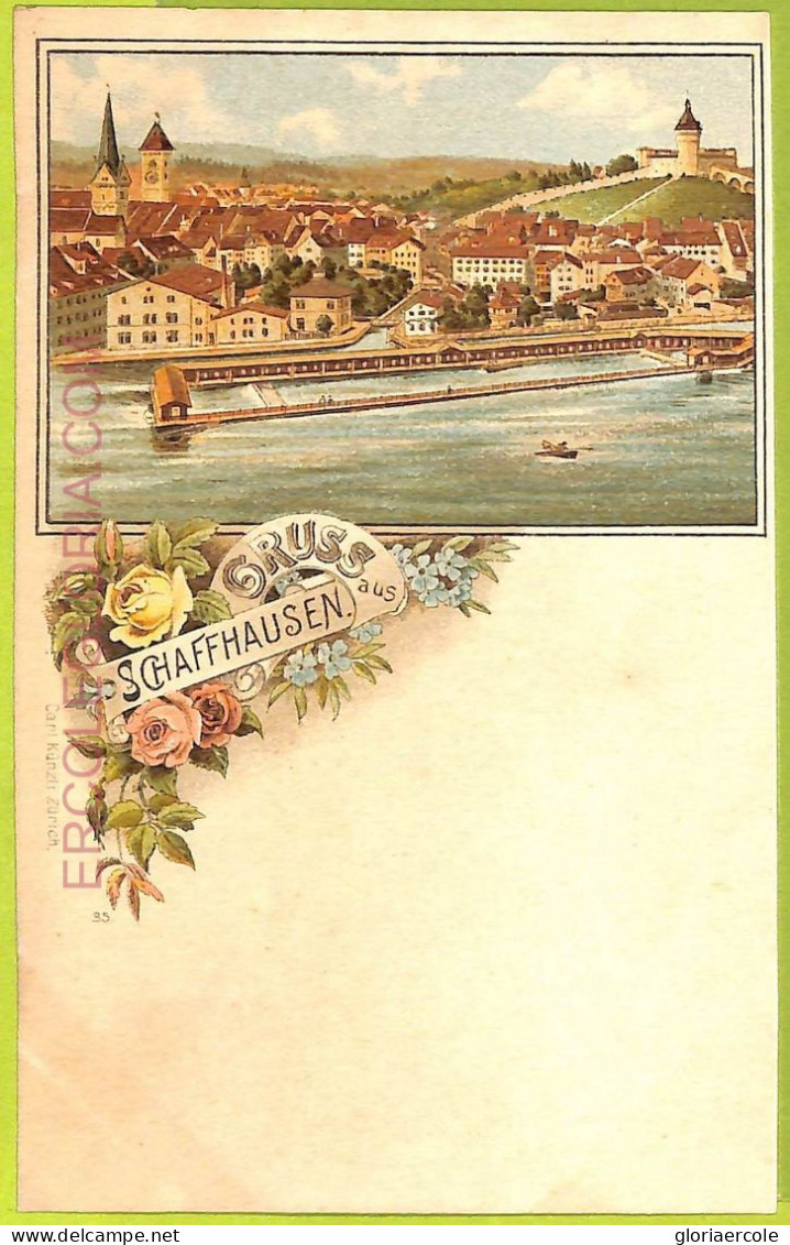 Ad5091 - SWITZERLAND - Ansichtskarten VINTAGE POSTCARD - Gruss Aus Schaffhausen - Hausen Am Albis 