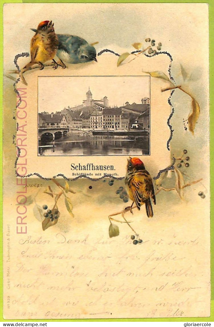 Ad5093 - SWITZERLAND - Ansichtskarten VINTAGE POSTCARD - Schaffhausen - 1901 - Hausen Am Albis 