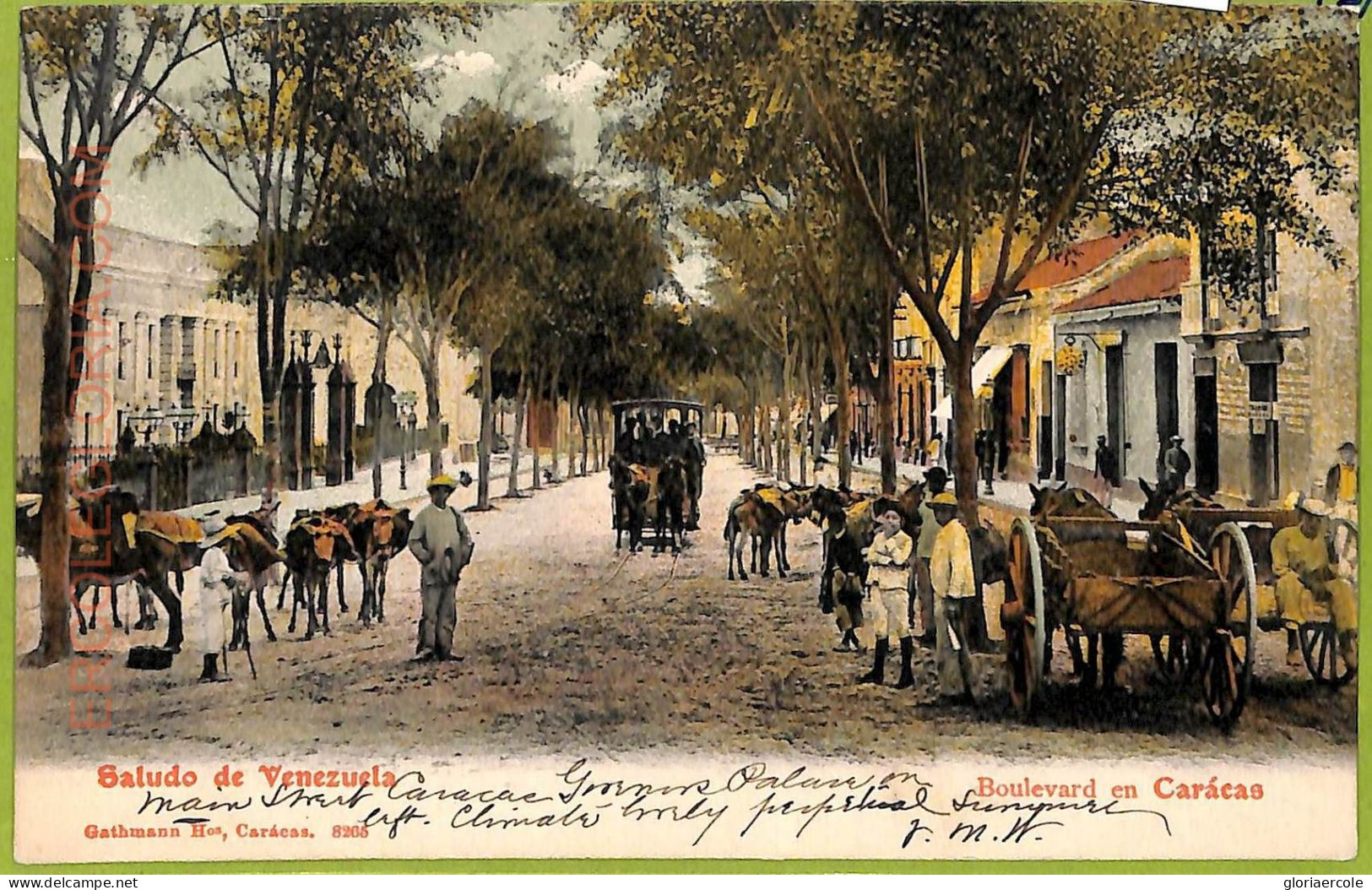 Af2970 - VENEZUELA - VINTAGE POSTCARD - Caracas - 1903 - Venezuela